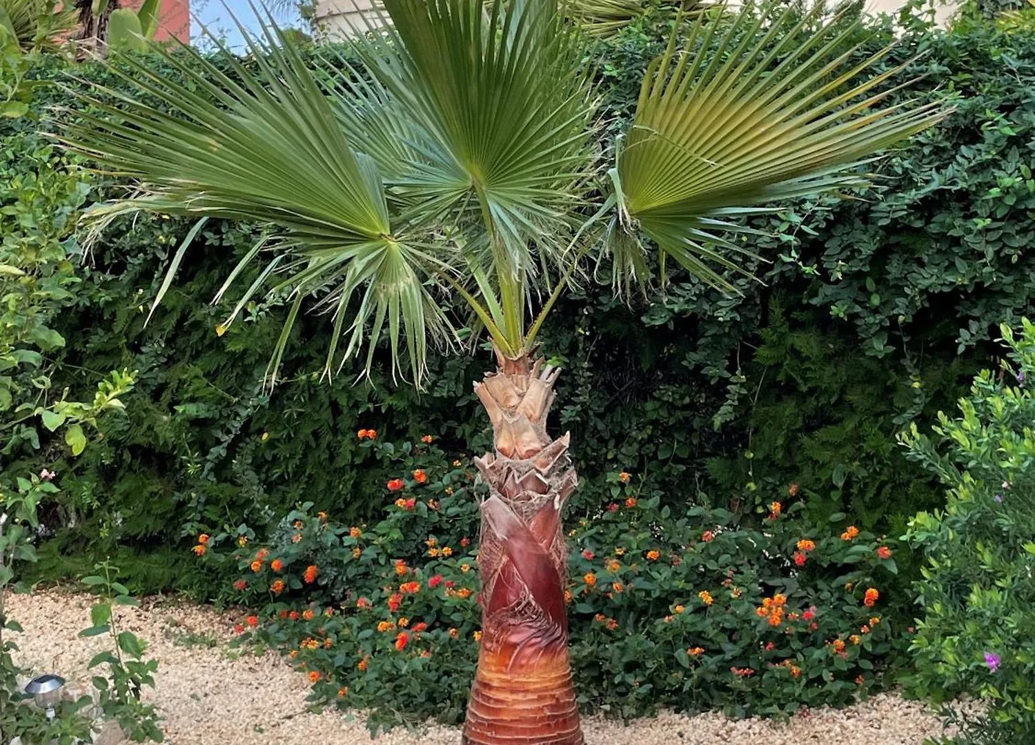 Dom wakacyjny Residence El Paraiso Sa Ràpita Hiszpania